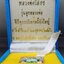 พระพุทธโสธร รุ่นลูกหลวงพ่อ หลังรัชกาลที่5 พิมพ์แสตมป์ เนื้อเงินลงยา พิธีพุทธาภิเษก ณ พระอุโบสถ วัดโสธรวรารามวรวิหาร ปี2546 พร้อมกล่องเดิม