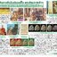 พระปิดตา หลังยันต์ดวงเล็ก หลวงปู่โต๊ะปลุกเสก เนื้อผงธูปแช่น้ำมนต์ สมเด็จพระญาณสังวร (เจริญ) วัดบวรนิเวศวิหาร ปี2523 พร้อมบัตรรับรองพระแท้