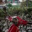 ชิวรถ Vespa ทรงไฟกลม