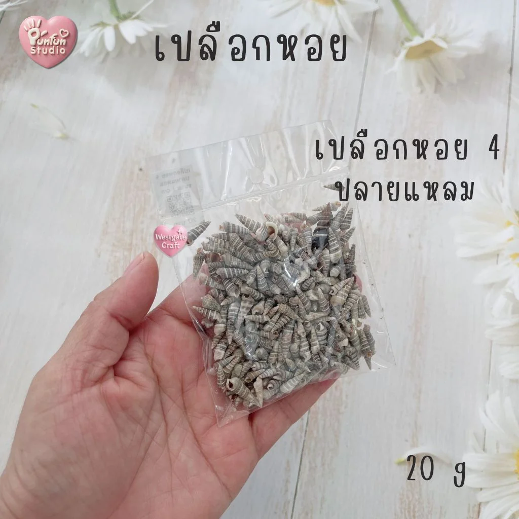 เปลือกหอยตกแต่งชิ้นงาน เปลือกหอยตกแต่งชิ้นงาน