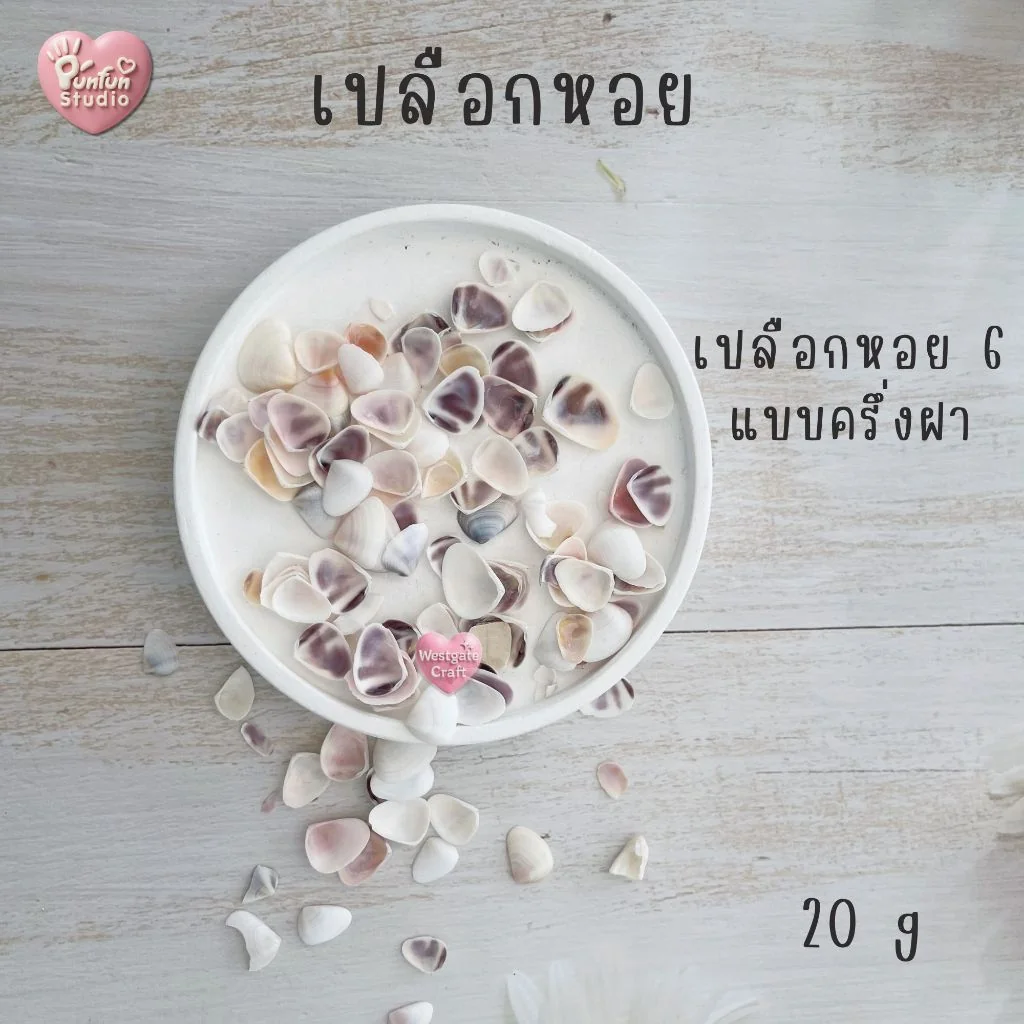 เปลือกหอยตกแต่งชิ้นงาน เปลือกหอยตกแต่งชิ้นงาน