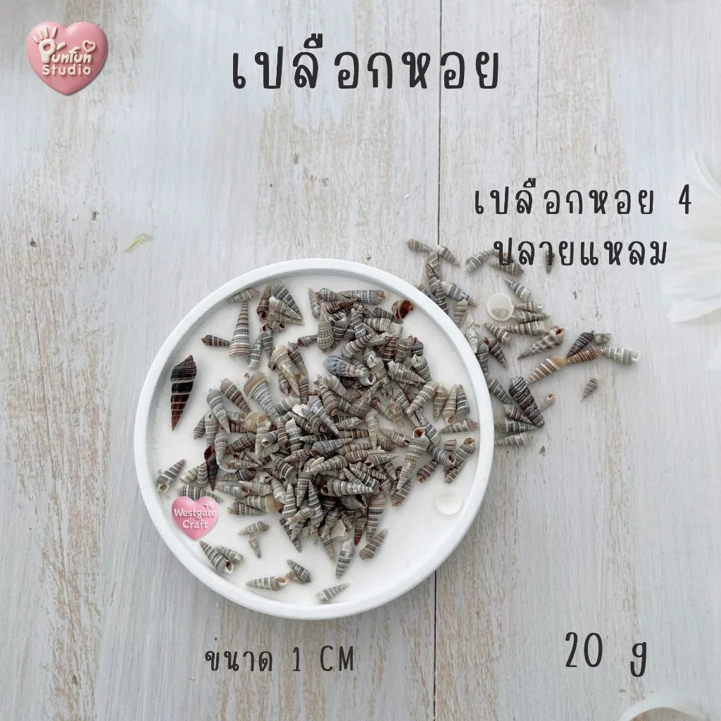 เปลือกหอยตกแต่งชิ้นงาน เปลือกหอยตกแต่งชิ้นงาน