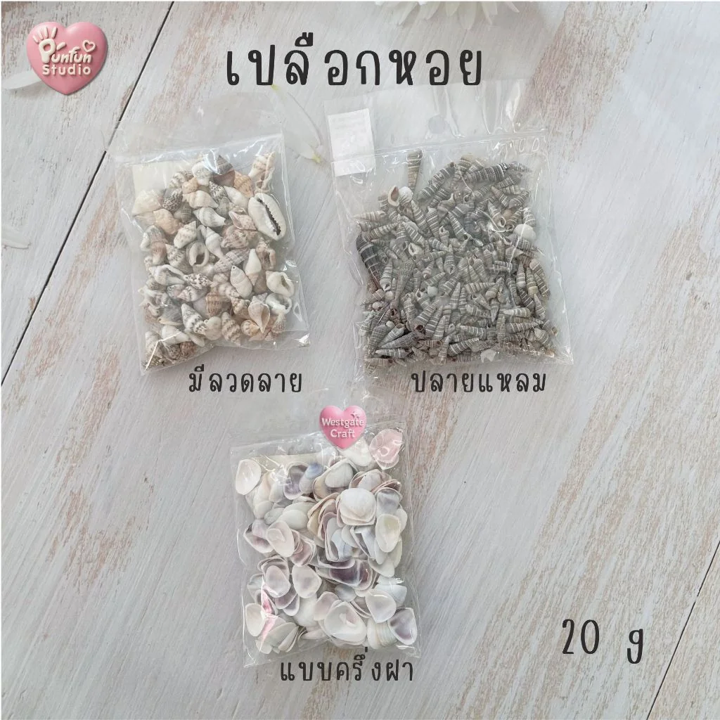 เปลือกหอยตกแต่งชิ้นงาน เปลือกหอยตกแต่งชิ้นงาน